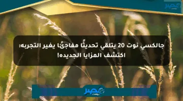 جالكسي نوت 20 يتلقى تحديثًا مفاجئًا يغير التجربة: اكتشف المزايا الجديدة!